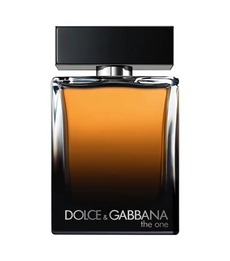 men's perfume dolce gabbana the one